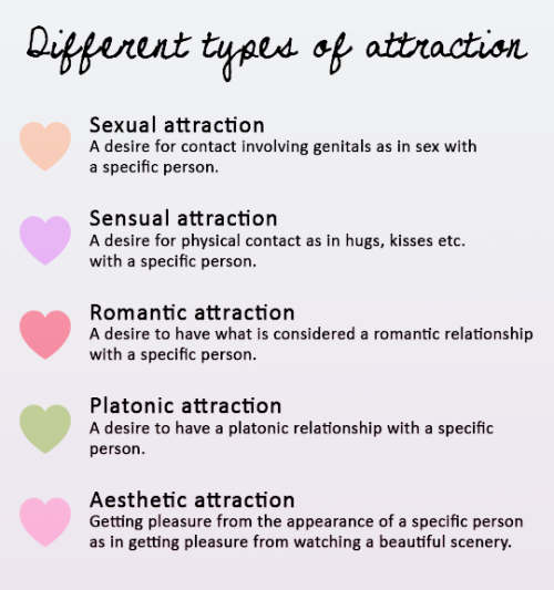 Types Of Attraction Lgbtq 9038